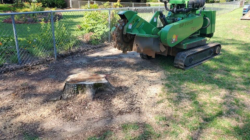 Green stump grinder beside a freshly ground stump along a chain-link fence