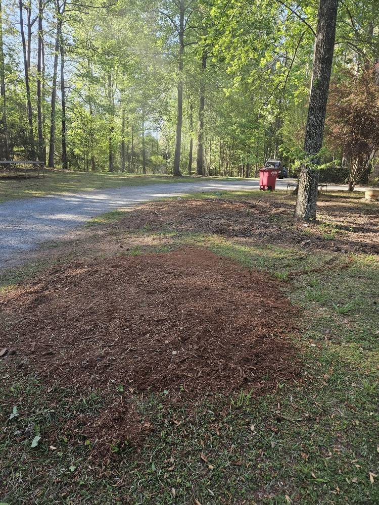 Fresh mulch pile from stump grindings beside a driveway