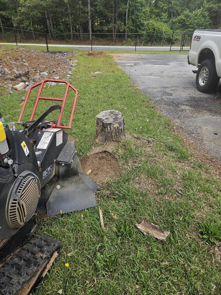 Stump grinder next to a stump beside a driveway and pickup truck