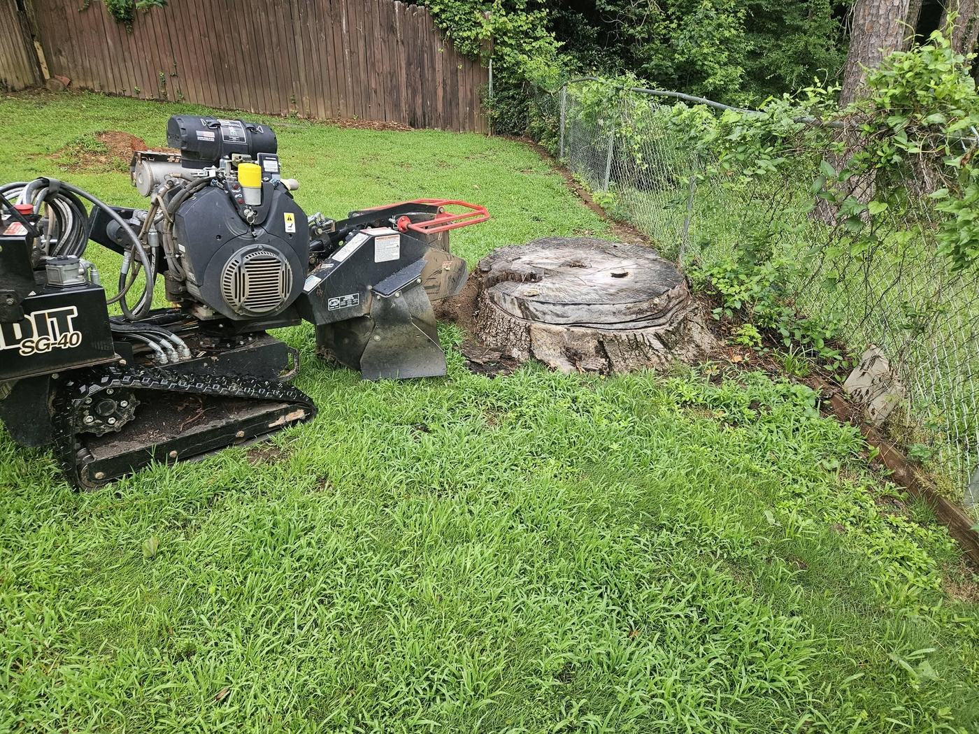 Stump grinder at work in a Middle Georgia yard